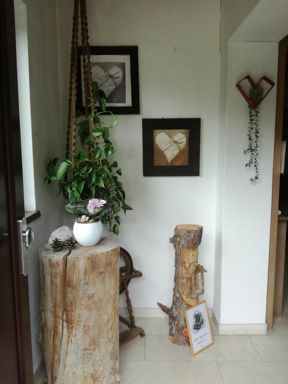 Ferienwohnung Wetterstein Lermoos Ngoại thất bức ảnh